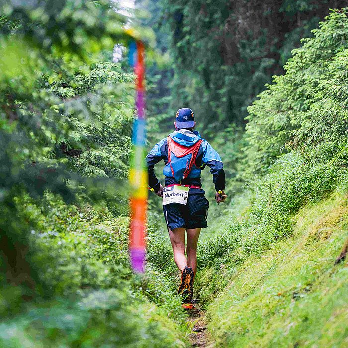 Sportpark Rabenberg: Trailrun Das Bild zeigt einen Mann, der einen Trail-Lauf in einem Wald absolviert. Er ist von hinten zu sehen und rennt einen schmalen Pfad entlang, der von dichtem Grün umgeben ist. Der Mann trägt eine blaue Jacke, eine rote Weste, dunkle Shorts und eine blaue Kappe. Auf seiner Startnummer steht "Norbert". Er trägt auch einen Rucksack auf dem Rücken. Der Pfad, auf dem er rennt, ist von dichtem Grün umgeben, darunter Bäume und Büsche. Links im Bild ist eine bunte Markierung, die für den Lauf verwendet wird. Der Hintergrund ist verschwommen und zeigt mehr Bäume. Das Bild ist gut beleuchtet und die Farben sind lebendig. Es fängt die Energie und den Nervenkitzel des Trail-Runnings ein.