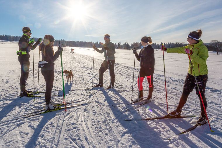 Rabenberg Sportkurse: Skitour Das Bild zeigt eine Gruppe von fünf Personen, die auf Langlaufskiern in einem schneebedeckten Feld stehen. Die Sonne scheint hell und wirft lange Schatten. Es gibt auch einen kleinen Hund, der in der Nähe der Skifahrer steht. Im Hintergrund sind Bäume und ein blauer Himmel zu sehen.