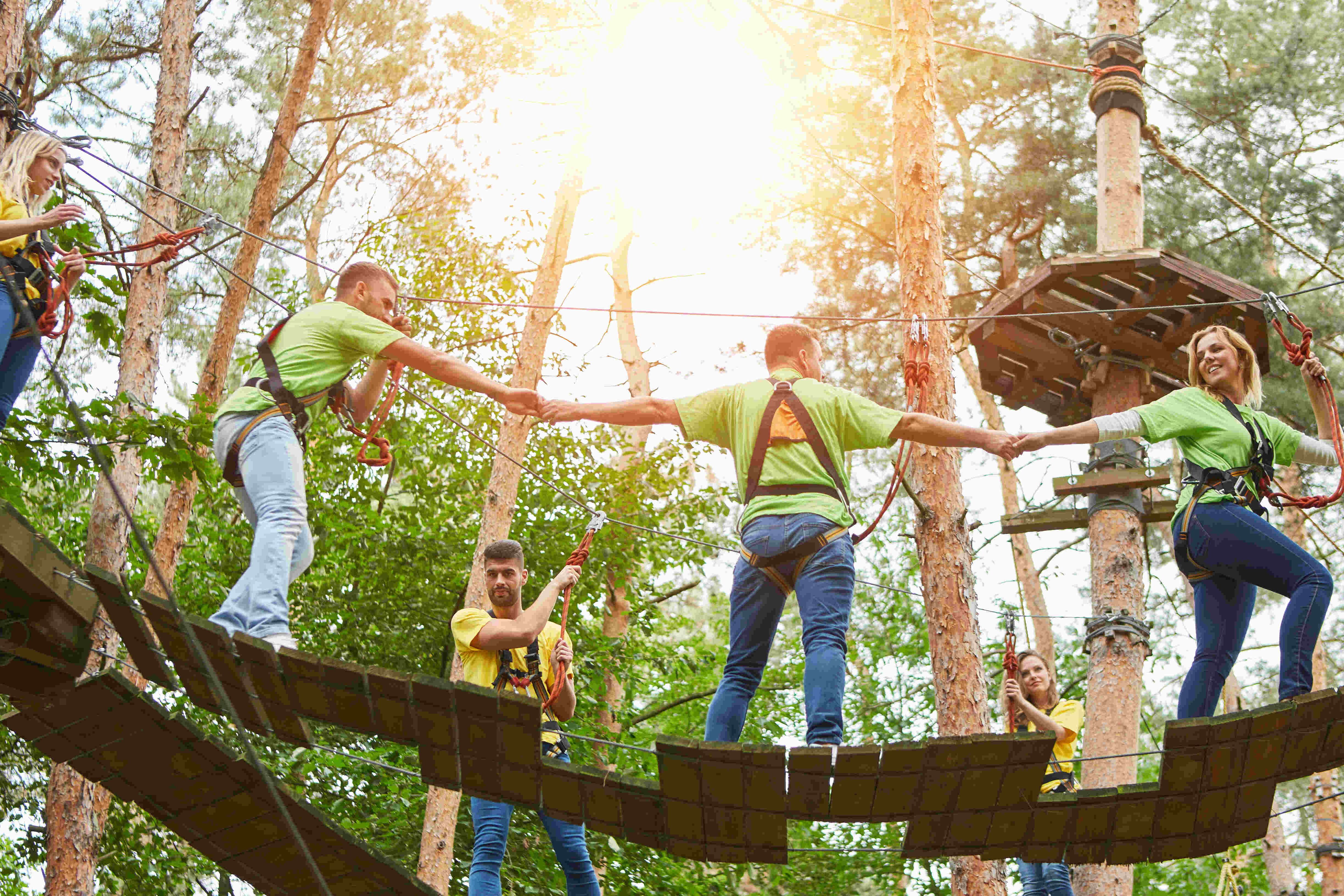 Rabenberg Sportkurse: Niedrigseilgarten Auf dem Bild sind mehrere Menschen zu sehen, die an einem Seilgarten teilnehmen. Sie gehen auf einer Brücke aus Holzplanken, die an Bäumen befestigt ist. Die Teilnehmer sind mit Sicherheitsgurten und Kletterausrüstung gesichert und halten sich an den Händen fest, um sich gegenseitig zu helfen. Einige Personen halten auch Seile, um sich selbst zu sichern. Das Bild ist im Freien aufgenommen, wobei die Sonne durch die Bäume scheint.
