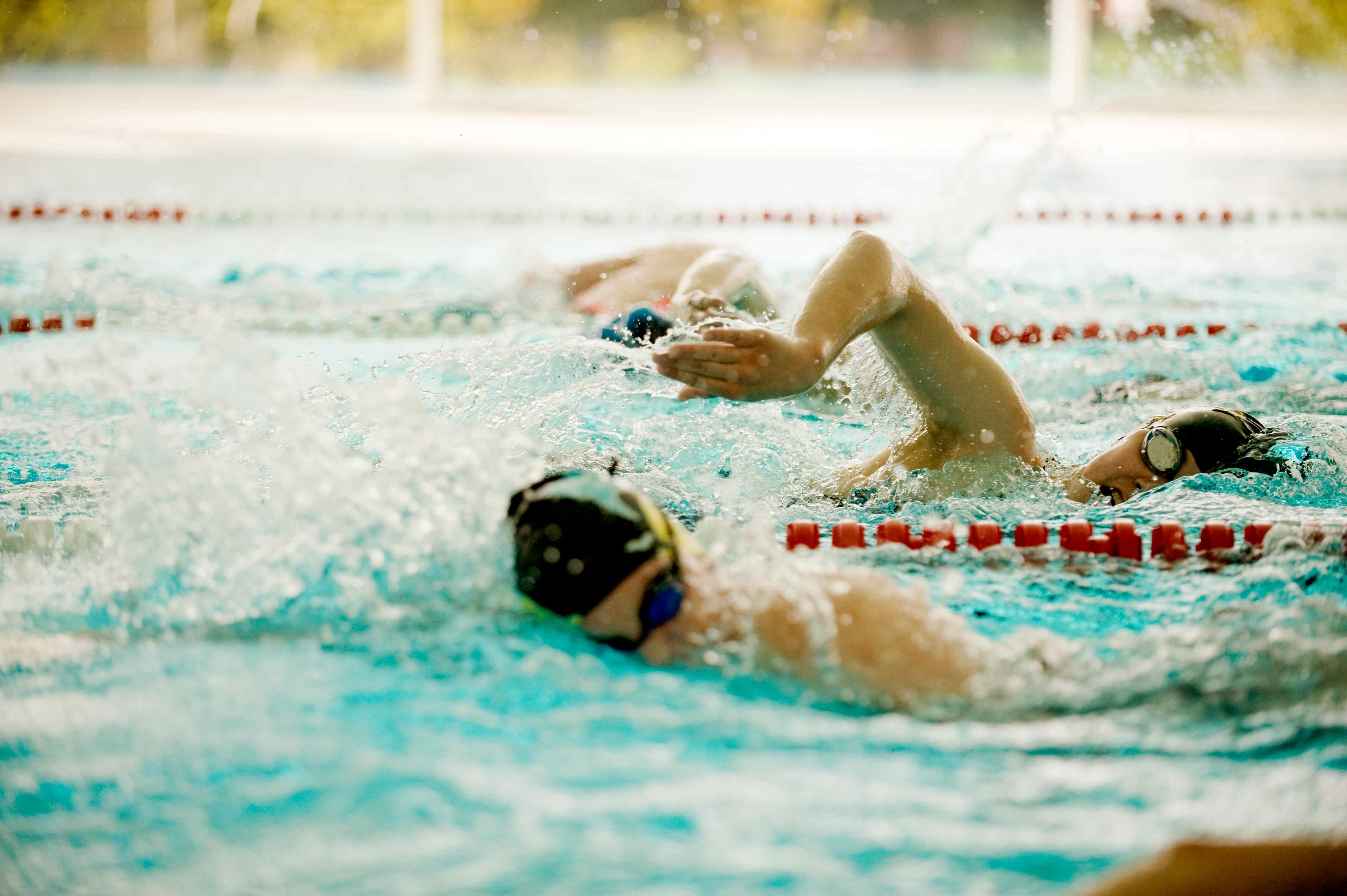 Sportpark Rabenberg: Sommersportwochen Schwimmen Das Bild zeigt eine Schwimmszene. Im Vordergrund sind zwei Schwimmer in einer Schwimmspur zu sehen, die sich im Kraulstil im Wasser bewegen. Die Schwimmer tragen Schwimmbrillen und Badekappen. Einer der Schwimmer hat einen Arm über dem Wasser und den anderen im Wasser. Im Hintergrund sind weitere Schwimmer zu sehen. Das Wasser ist blau und es gibt rote Bojen, die die Schwimmbahnen markieren. Der Hintergrund ist unscharf und zeigt eine helle Decke.