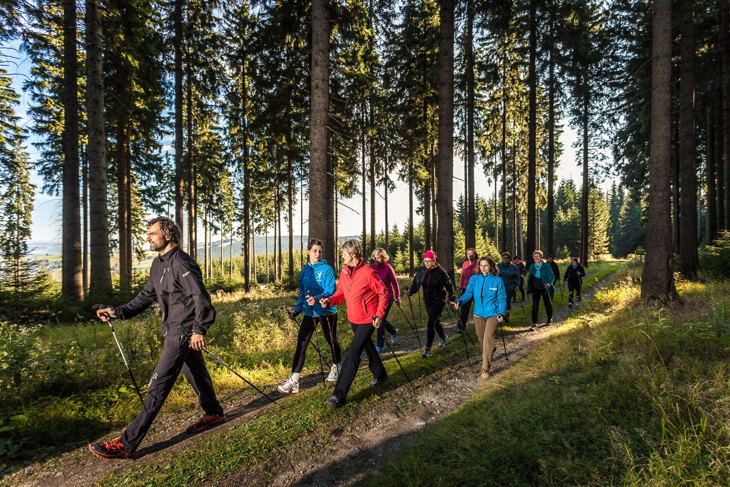 Rabenberg Sportkurse: Nordic Walking Das Bild zeigt eine Gruppe von Menschen, die durch einen Wald wandern. Sie sind alle bekleidet mit Sportkleidung und halten Wanderstöcke. Das Sonnenlicht scheint durch die Bäume, die den Wald säumen. Der Weg, den sie gehen, ist aus Erde und Gras.
